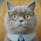 Avatar photo